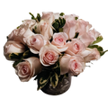 Pretty in Pink (24 roses in vase)