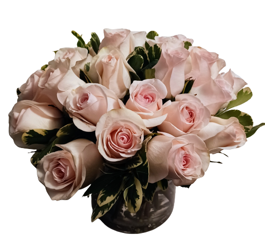 Pretty in Pink (24 roses in vase)