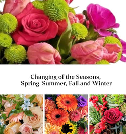 Changing of the Seasons - Subscription